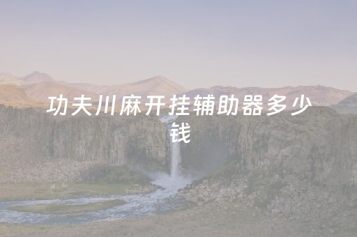 功夫川麻开挂辅助器多少钱（功夫川麻有开挂的吗?）