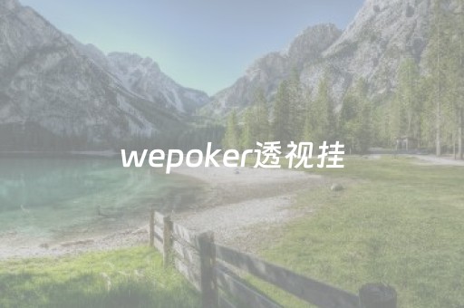 wepoker透视挂（wepoker透视脚本安卓）