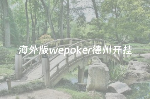 海外版wepoker德州开挂（hh poker德州挂）