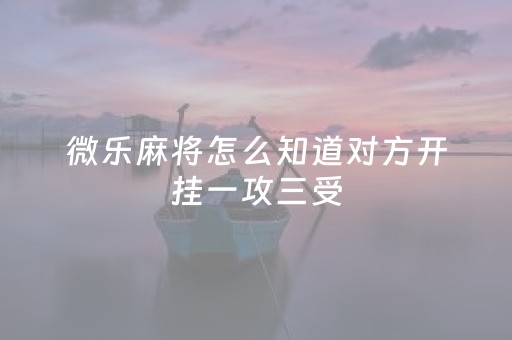 微乐麻将怎么知道对方开挂一攻三受（微信里微乐麻将怀疑开挂怎么查）