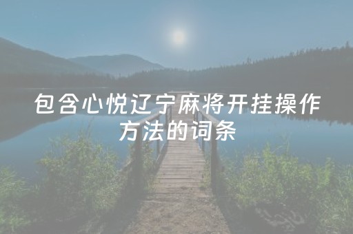 包含心悦辽宁麻将开挂操作方法的词条