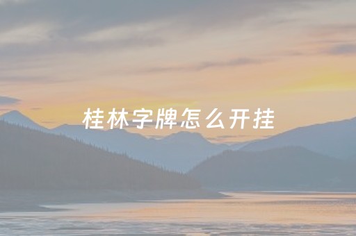 桂林字牌怎么开挂（桂林字牌开挂神器安装）