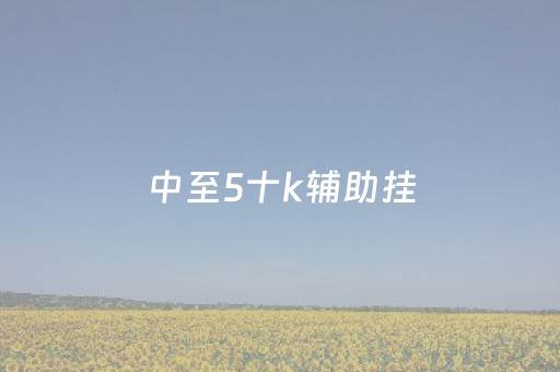 中至5十k辅助挂（中至开挂神器）