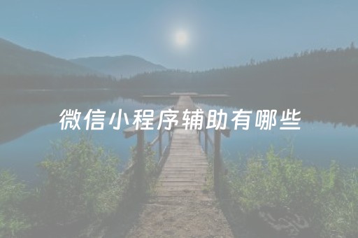 微信小程序辅助有哪些（小程序辅助器是什么东西）