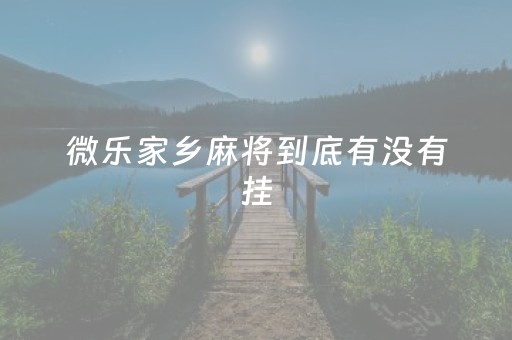 微乐家乡麻将到底有没有挂（微乐家乡麻将有挂吗百度知道）