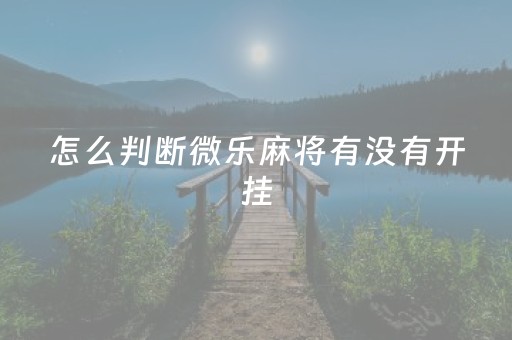 怎么判断微乐麻将有没有开挂（微信里微乐麻将怀疑开挂怎么查）