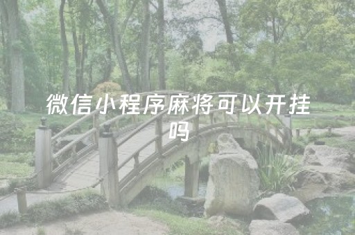 微信小程序麻将可以开挂吗（微乐麻将怎么开免费的挂）