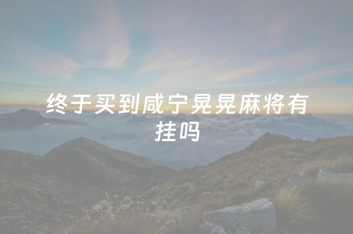 终于买到咸宁晃晃麻将有挂吗（湖北晃晃麻将玩法）