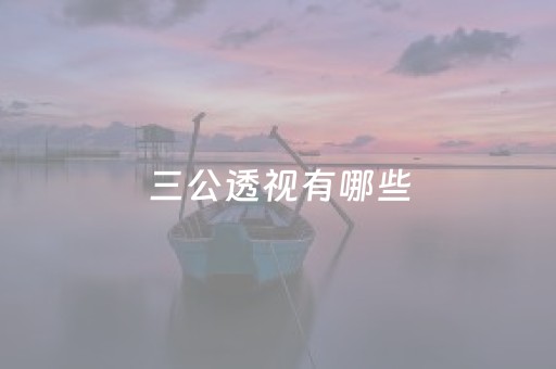 三公透视有哪些（三公透视有哪些好用）