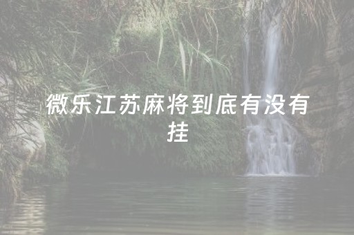 微乐江苏麻将到底有没有挂（微信微乐江苏麻将开挂神器）