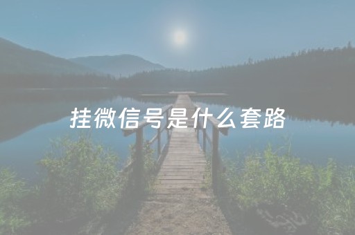 挂微信号是什么套路（挂微信号是怎么赚钱的）