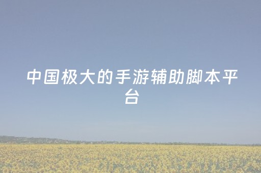 中国极大的手游辅助脚本平台（手游辅助脚本平台哪个好）