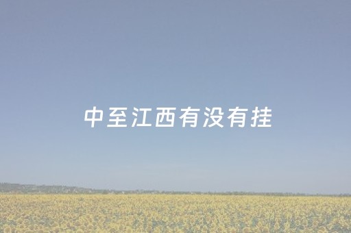 中至江西有没有挂（江西中至科技有限公司客服电话）