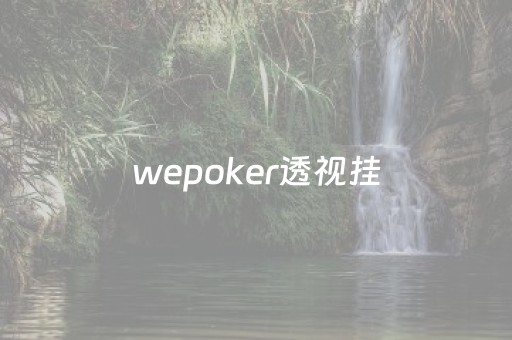 wepoker透视挂（wepoker透视挂辅助挂）