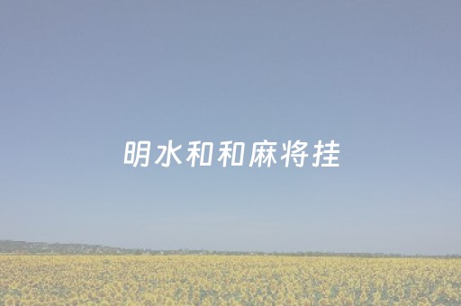 明水和和麻将挂（和和明水麻将怎么开挂）