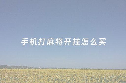 手机打麻将开挂怎么买（手机上打麻将开挂怎么买）