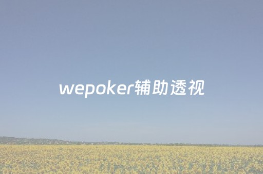 wepoker辅助透视（wepoker辅助透视挂有吗）