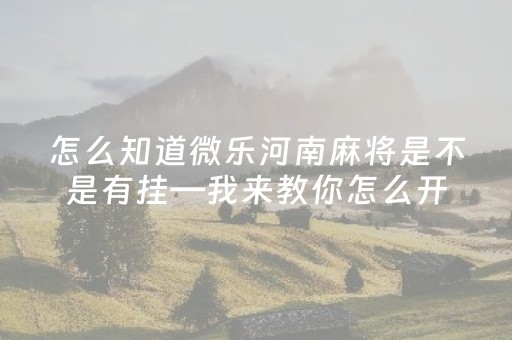 怎么知道微乐河南麻将是不是有挂—我来教你怎么开挂（微乐河南麻将怎样开挂）