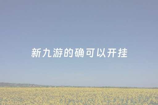 新九游的确可以开挂（新九游有没有挂）