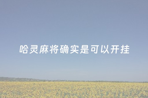 哈灵麻将确实是可以开挂（哈灵麻将真的可以开挂）