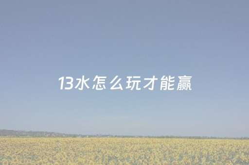 13水怎么玩才能赢（十三水怎么玩能赢）