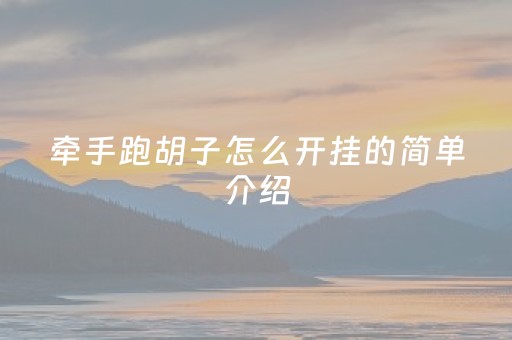 牵手跑胡子怎么开挂的简单介绍