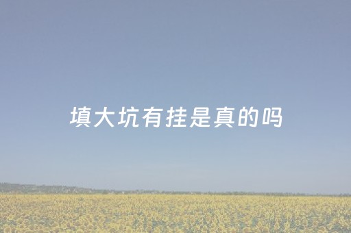 填大坑有挂是真的吗（填大坑什么规则）