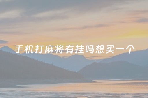 手机打麻将有挂吗想买一个（手机上打麻将有没有带挂的?）