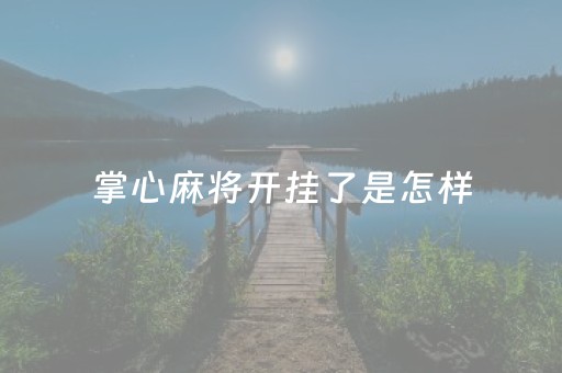 掌心麻将开挂了是怎样（掌心麻将可以开挂吗）