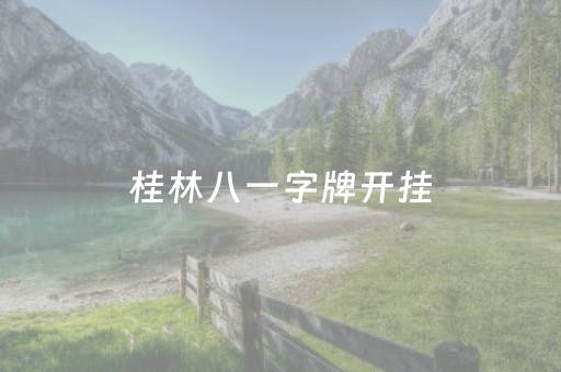 桂林八一字牌开挂（广西八一字牌,）