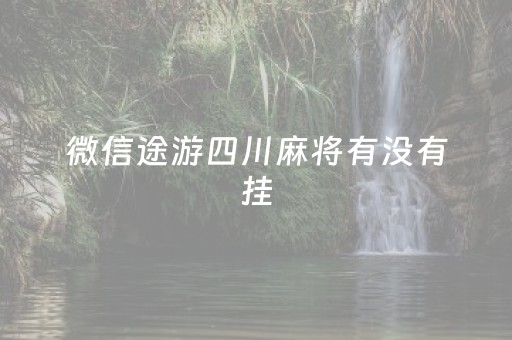 微信途游四川麻将有没有挂（微信小程序途游四川麻将和好友玩为什么老输）