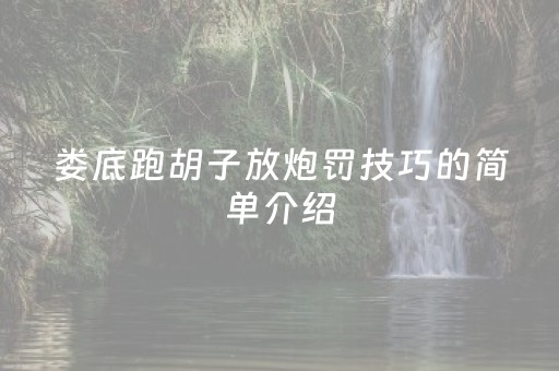 娄底跑胡子放炮罚技巧的简单介绍（娄底跑胡子放炮罚计算器）