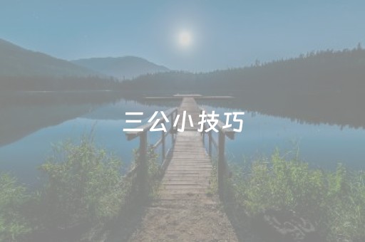 三公小技巧（三公技巧讲解）