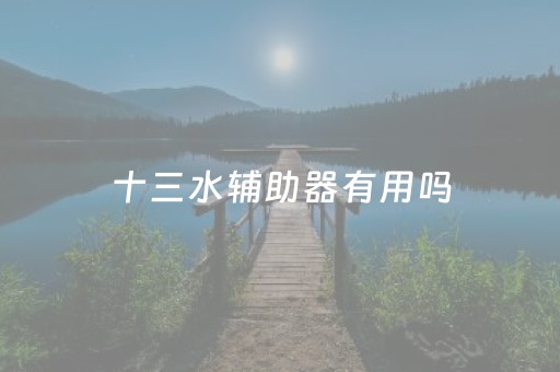 十三水辅助器有用吗（十三水免费开挂神器安装）