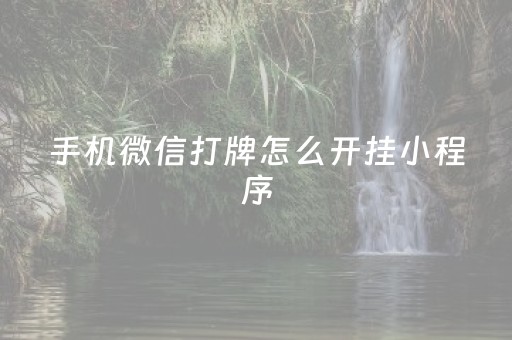 手机微信打牌怎么开挂小程序（手机微信打牌怎么开挂小程序游戏）