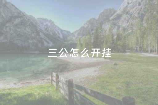 三公怎么开挂（三公平台）