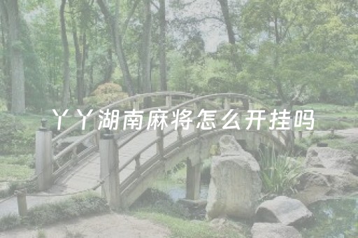 丫丫湖南麻将怎么开挂吗（丫丫湖南麻将 ）