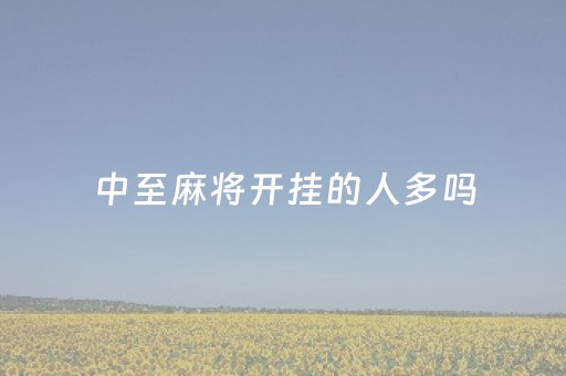 中至麻将开挂的人多吗（中至麻将贴吧）