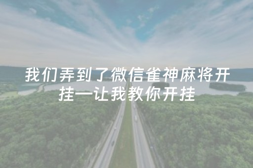 我们弄到了微信雀神麻将开挂—让我教你开挂（微信雀神麻将开挂方法）