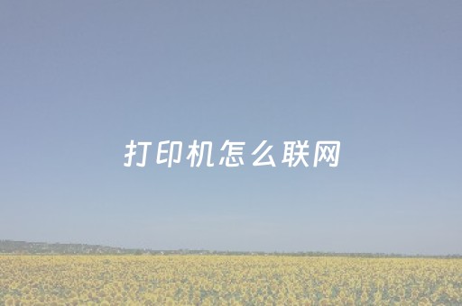 打印机怎么联网（打印机怎么联网连接wifi手机）