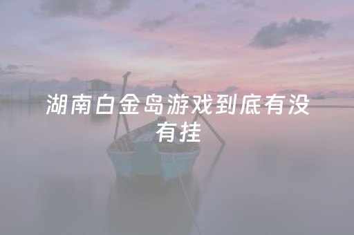 湖南白金岛游戏到底有没有挂（白金岛长沙麻将官方）