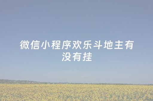 微信小程序欢乐斗地主有没有挂（微信小程序欢乐斗地主花钱吗）