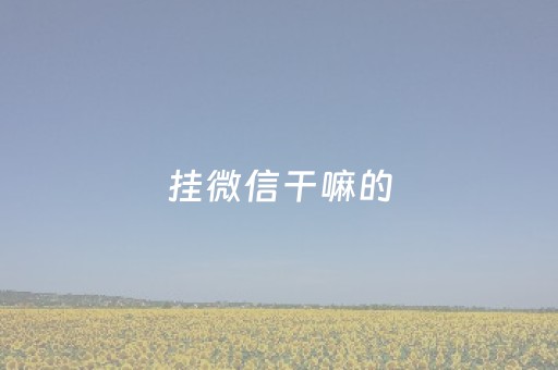 挂微信干嘛的（挂微信是什么?）