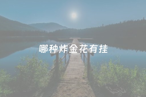 哪种炸金花有挂（什么炸金花可以）