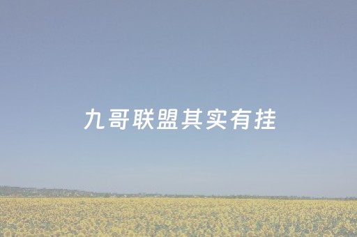 九哥联盟其实有挂（九哥玩联盟里面有挂吗）