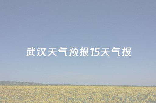 武汉天气预报15天气报（武汉天气预报15天气报武汉天气预报金牛）