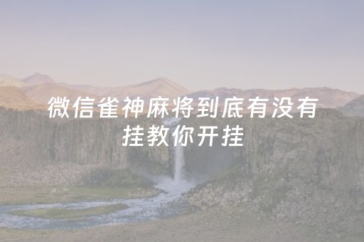 微信雀神麻将到底有没有挂教你开挂（微信雀神麻将有挂吗百度知道）