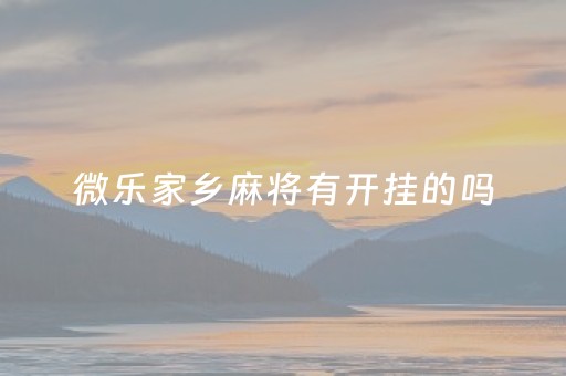 微乐家乡麻将有开挂的吗（微乐家乡麻将能开挂真的假的）