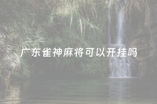 广东雀神麻将可以开挂吗（广东雀神麻将开挂方法）