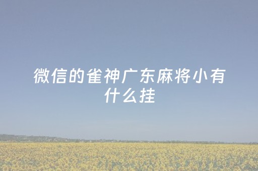 微信的雀神广东麻将小有什么挂（微信雀神广东麻将可以开挂吗）